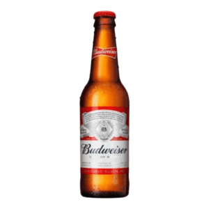 Budweiser Beer